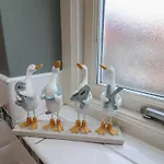 Chimes Дом отдыха *